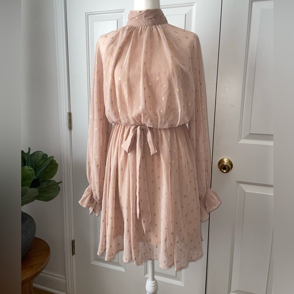 She + Sky Blush & Gold Long sleeve Dress Size S - Picture 2 of 11